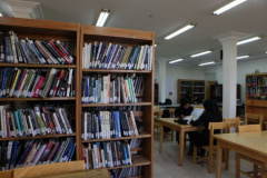 Library of Faculty of Architecture and Arts 1